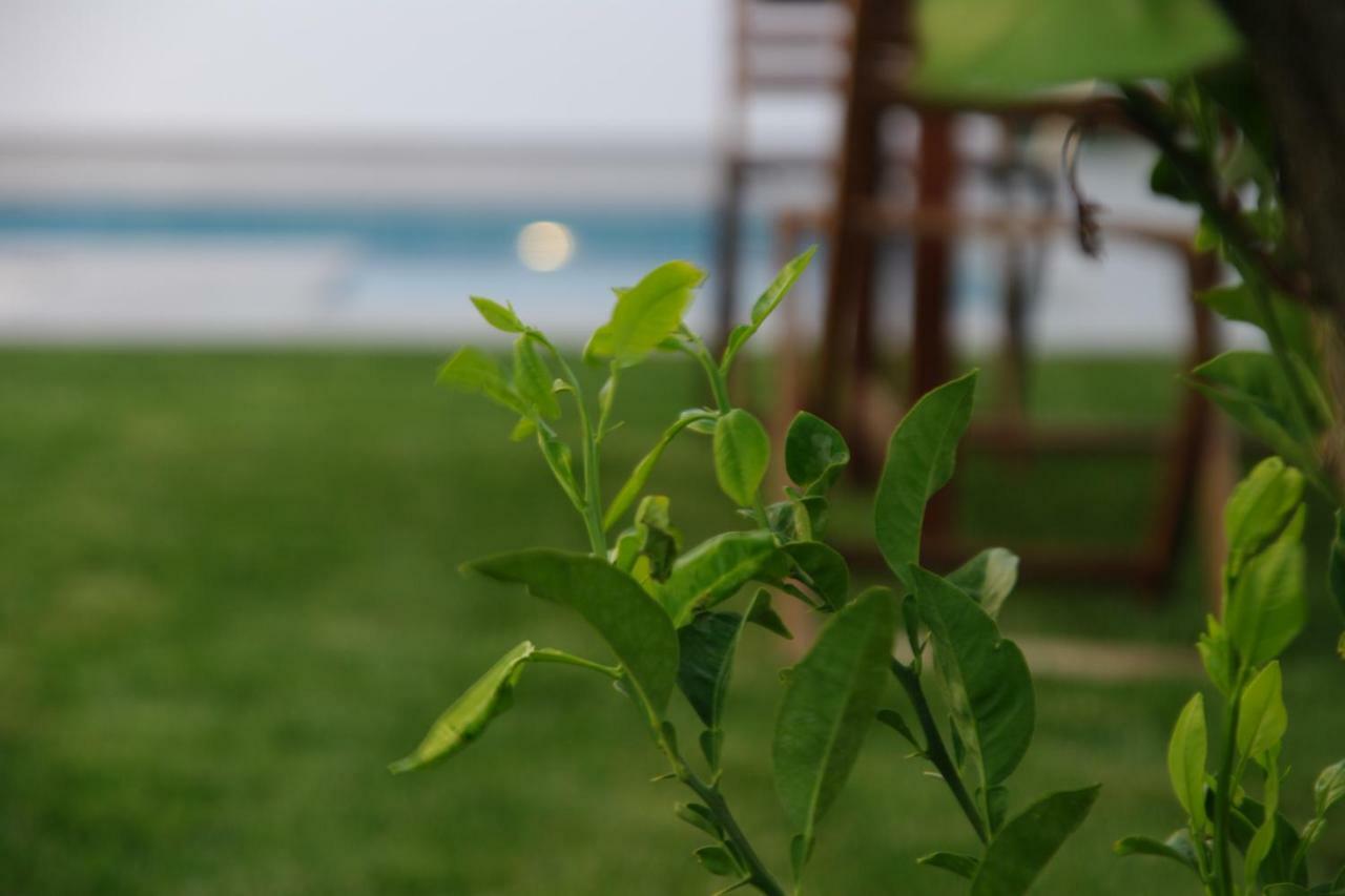 Chalet Deluxe Wifi Gratis Conil De La Frontera Εξωτερικό φωτογραφία
